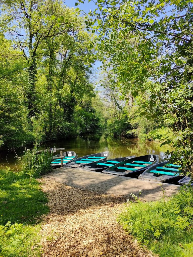 La Maison de la Rivière en Montaigu Vendée: sus paseos en barco, sus exposiciones fotográficas, la visita al molino. Un lugar ideal para familias.