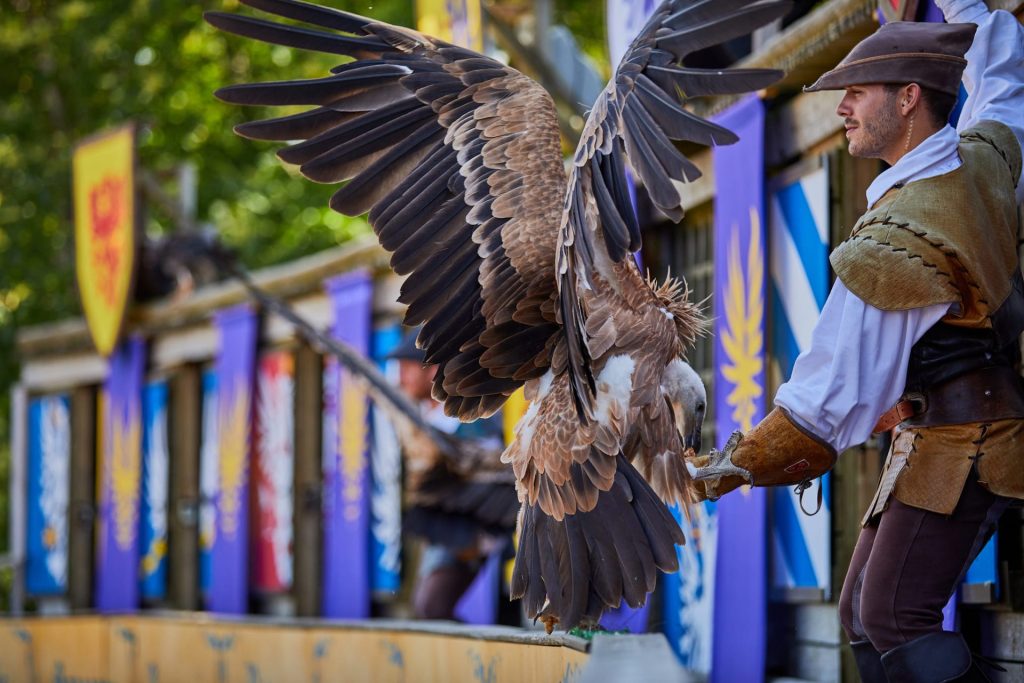 El espectáculo Le Bal des Oiseaux Fantômes en Puy du Fou