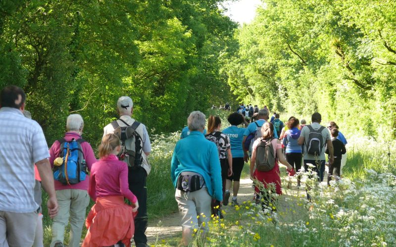 R4JC (caminata de 4 días en Chantonnay) en Vendée