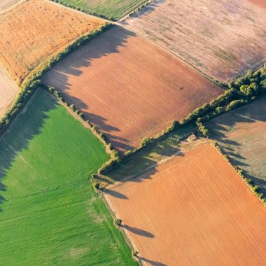 Le bocage vendéen : ses haies bocagères, ses chemins creux et son paysage vallonné au nord de la Vendée.