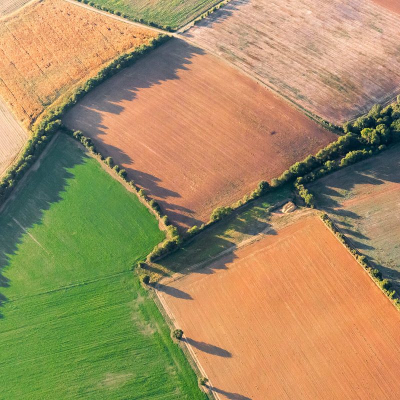 The Vendée bocage: its bocage hedges, its hollow paths and its hilly landscape in the north of the Vendée.