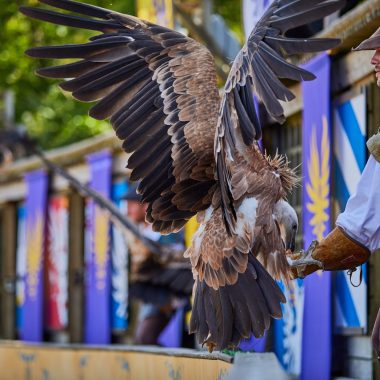 Le spectacle Le Bal des Oiseaux Fantômes au Puy du Fou