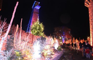 El mercado navideño del castillo de Tiffauges en Vendée Bocage