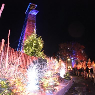 Le marché de noël du Château de Tiffauges en Vendée Bocage