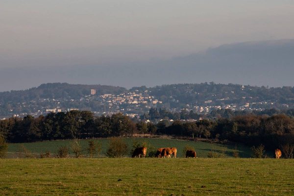 Panorama of the Small Town of Character Pouzauges