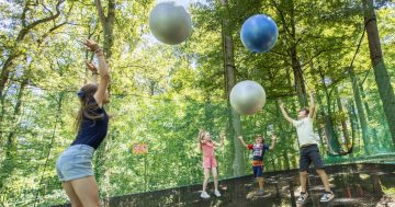 Actividades y juegos para niños (trampofilet: trampolín en los árboles) en el Château des Essarts en Vendée Bocage