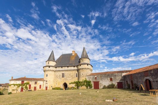 Para sus vacaciones en familia, descubra el castillo de Sigournais en Vendée Bocage.