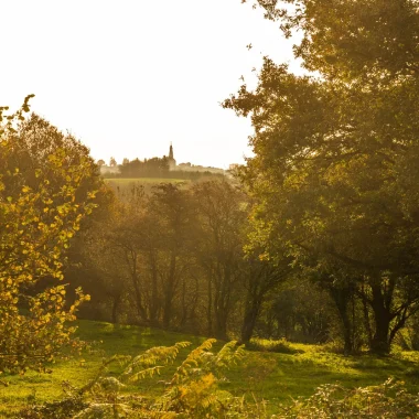 Le lieu-dit Les Justices à Saint-Michel-Mont-Mercure (Sèvremont), vue sur le clocher.